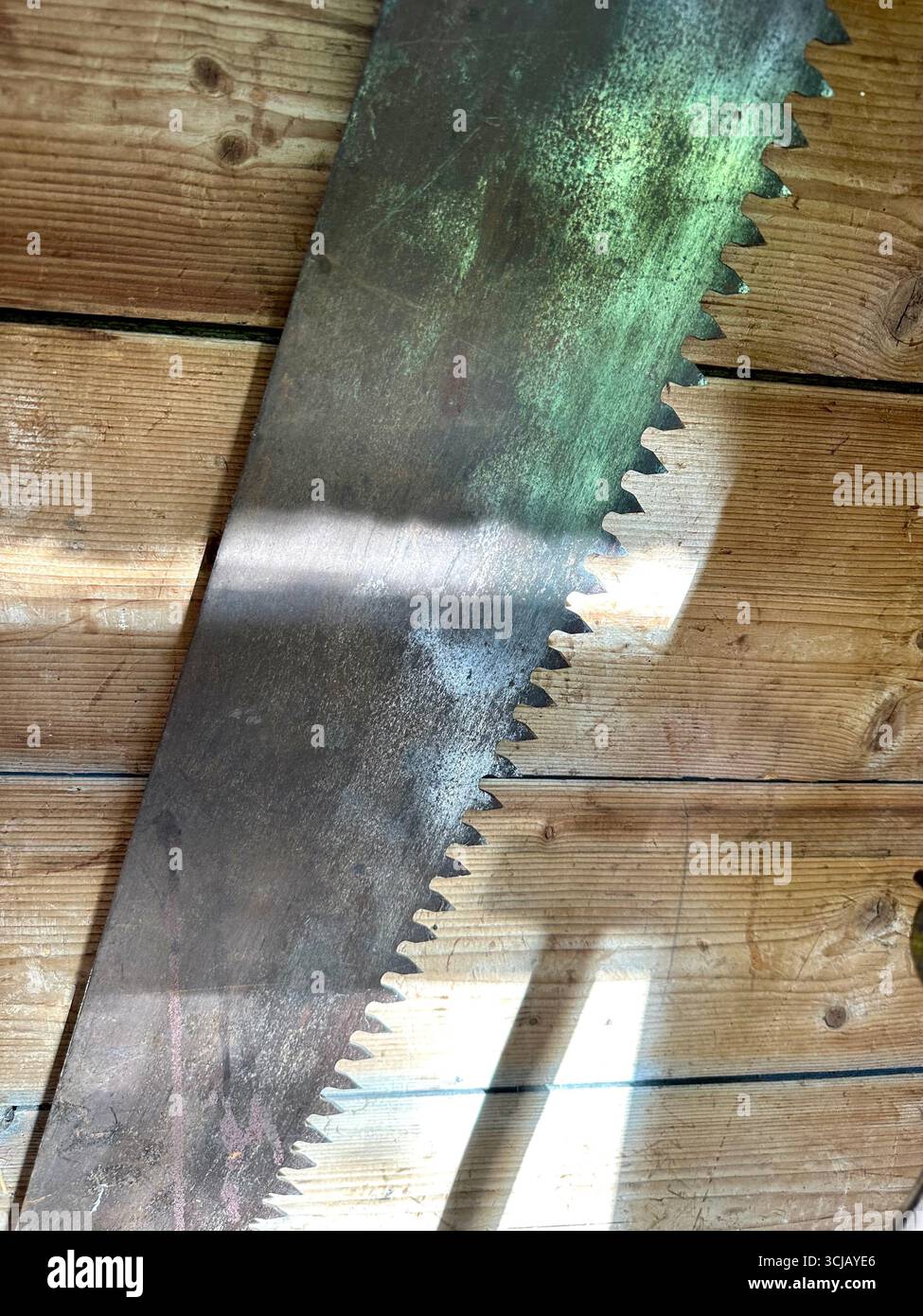 Blade of a wood saw - Smartphone Captured Stock Image