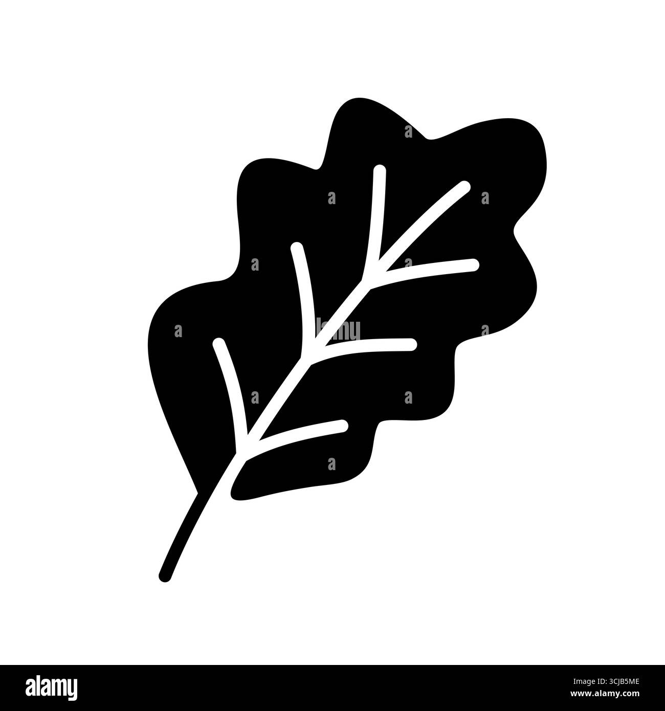 A clean, black-and-white outline vector icon of an oak leaf with its ...