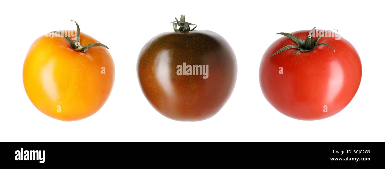 Different types of ripe tomatoes isolated on white, set Stock Photo - Alamy