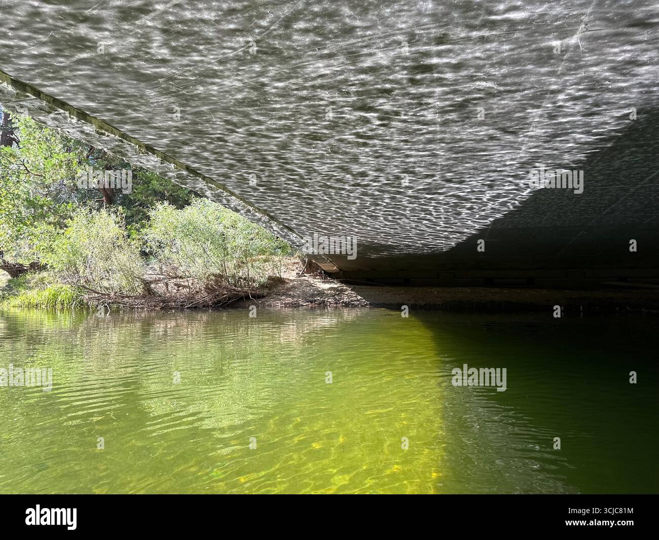 Sunlight reflections dance under a bridge over calm green river water, with natural vegetation along the riverbank in daylight. - Smartphone Captured Stock Image Sunlight reflections dance under a bridge over calm green river water, with natural vegetation along the riverbank in daylight. - Smartphone Captured Stock Image