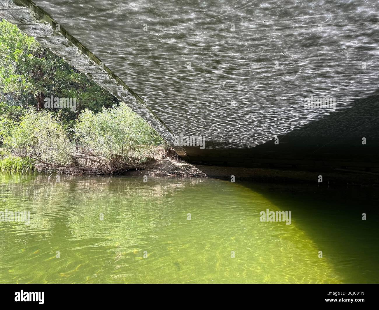 Sunlight reflections dance under a bridge over calm green river water, with natural vegetation along the riverbank in daylight. - Smartphone Captured Stock Image Sunlight reflections dance under a bridge over calm green river water, with natural vegetation along the riverbank in daylight. - Smartphone Captured Stock Image