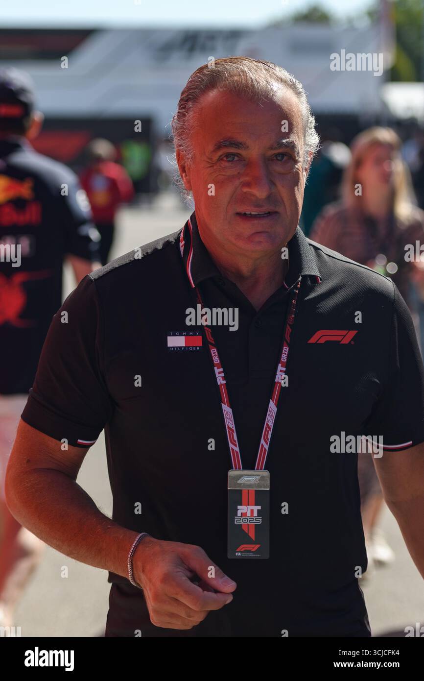 Vintage des années 90 Jean Alesi Red Bull Sauber