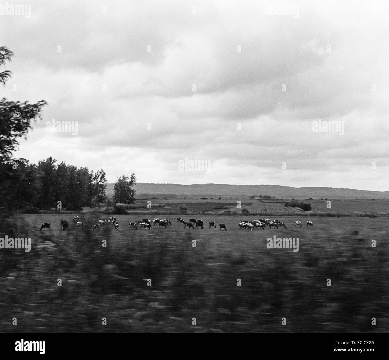 Plowed farmland photographed from a moving vehicle, showing dynamic lines of freshly turned earth across a rural landscape. Stock Photo