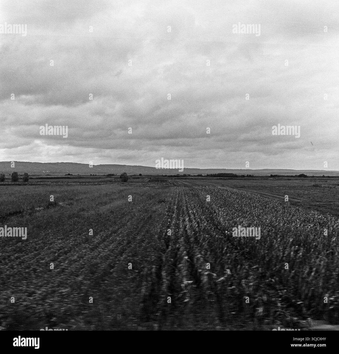 Plowed farmland photographed from a moving vehicle, showing dynamic lines of freshly turned earth across a rural landscape. Stock Photo