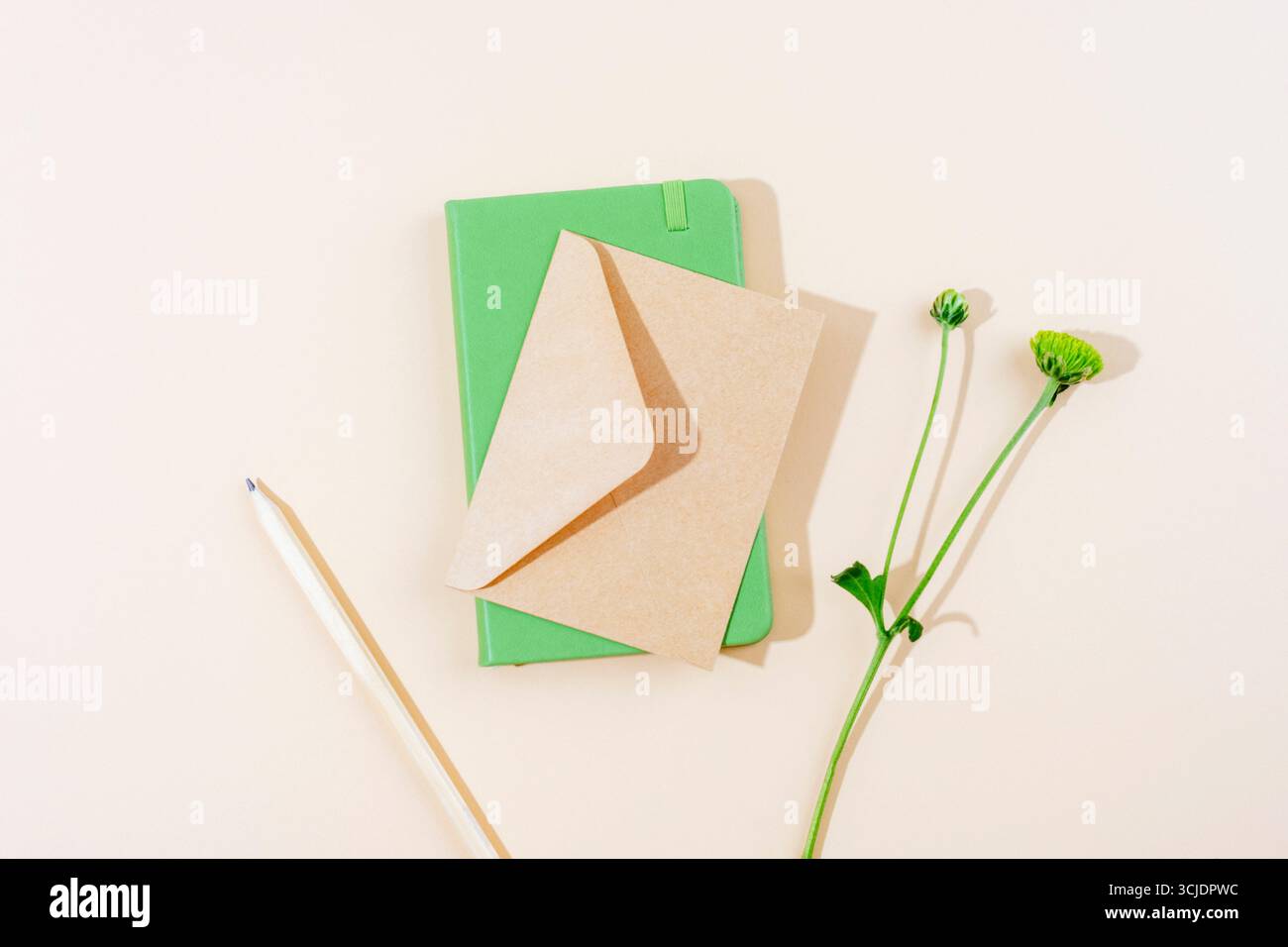 Minimalist flat lay with green notebook, kraft paper envelope, white pencil and green flower on beige background. Top view Stock Photo