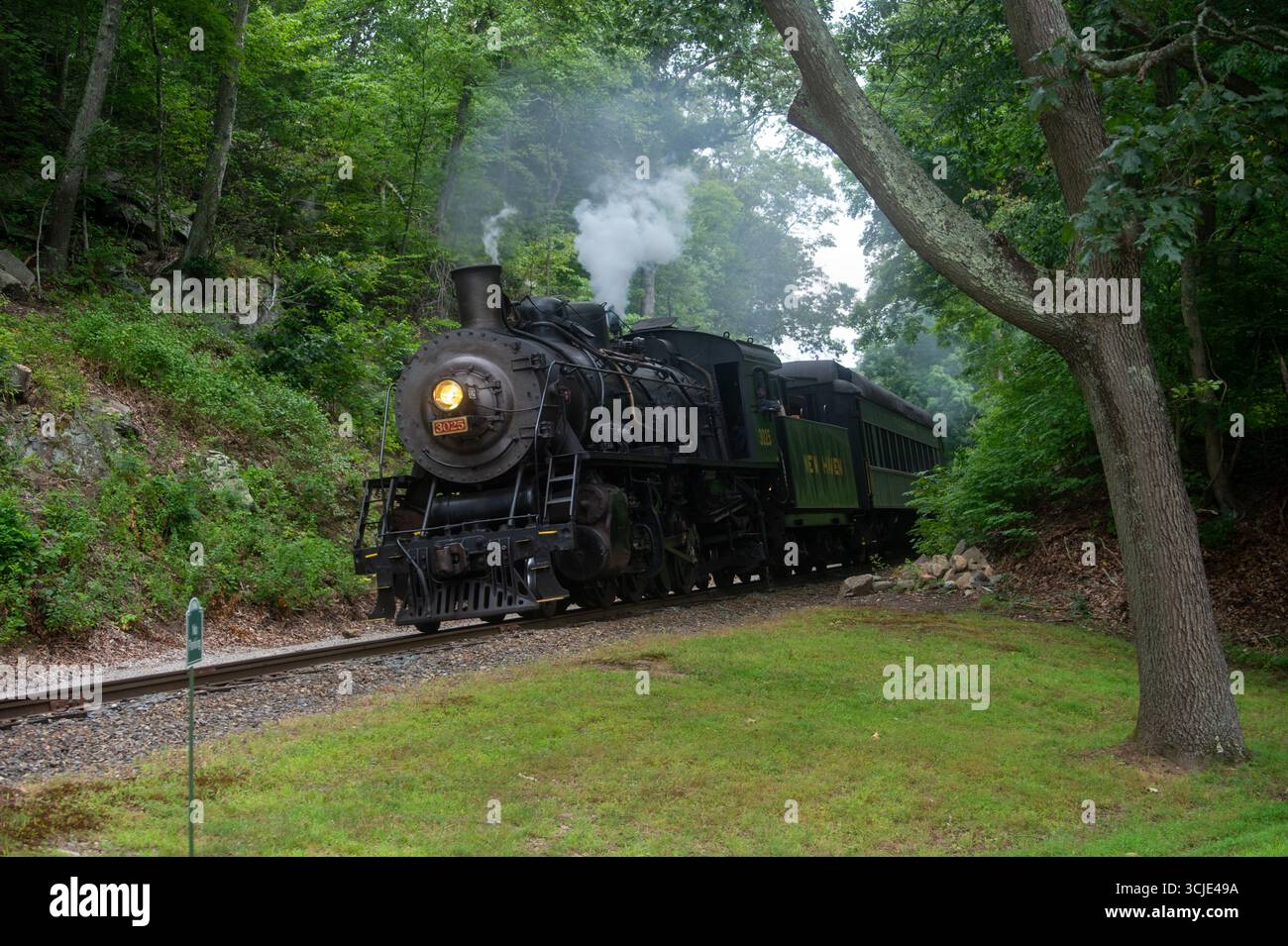 Vintage steam locomotive traveling through a forested railway ...