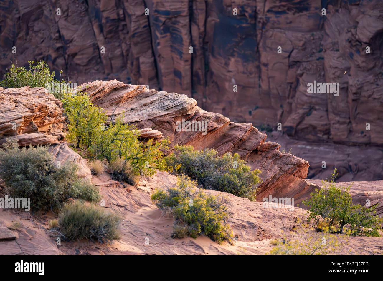 A detailed close-up of a rugged desert landscape showcasing magnificent layered sandstone formations and resilient scrub brush. The foreground feature Stock Photo
