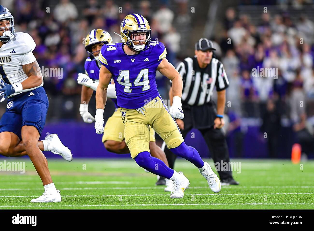 Seattle, WA, USA. 06th Sep, 2025. Washington Huskies linebacker Hayden  Moore (44) during the NCAA football game between the UC Davis Aggies and  the Washington Huskies in Seattle, WA. Washington defeated UC