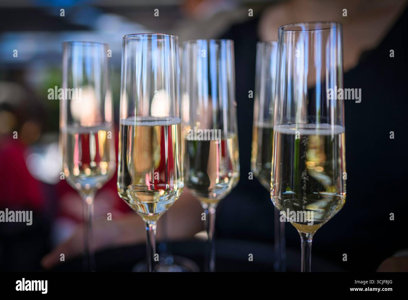, Deutschland, 06.09.2025,  Gläser mit Sekt bei einem Empfang – Symbol für Feier, Gesellschaft und besondere Anlässe. Stock Photo
