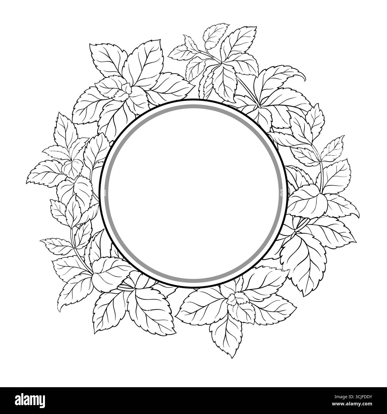 Melissa Branch Outline Round Frame Stock Vector Image & Art - Alamy