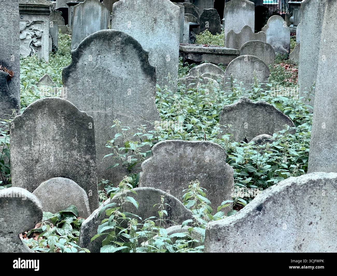 Graves in Bunhill Fields burial grounds in Shoreditch, London - Smartphone Captured Stock Image
