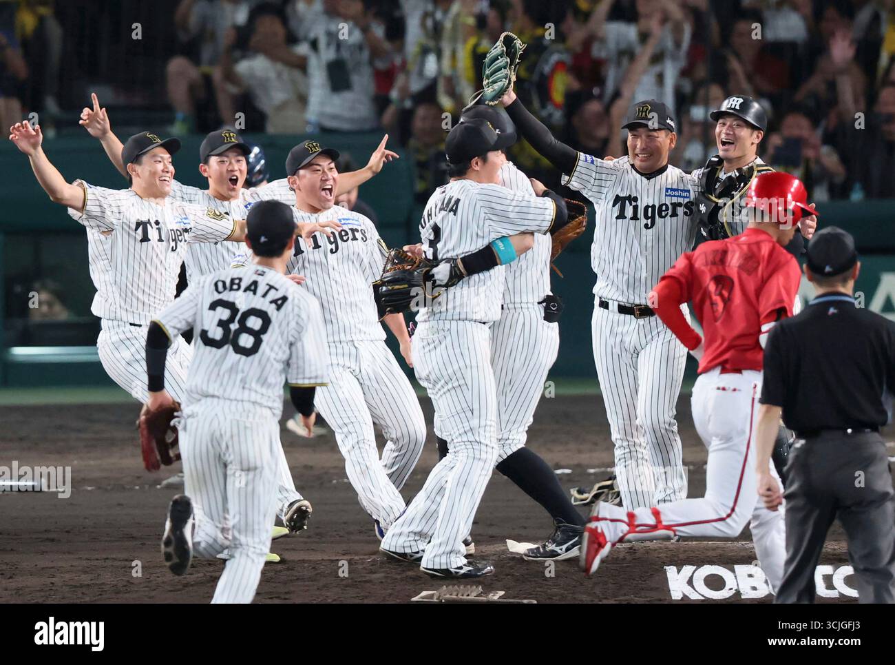 Hanshin Tigers Dominate Total Under Statistical Trends at a Glance