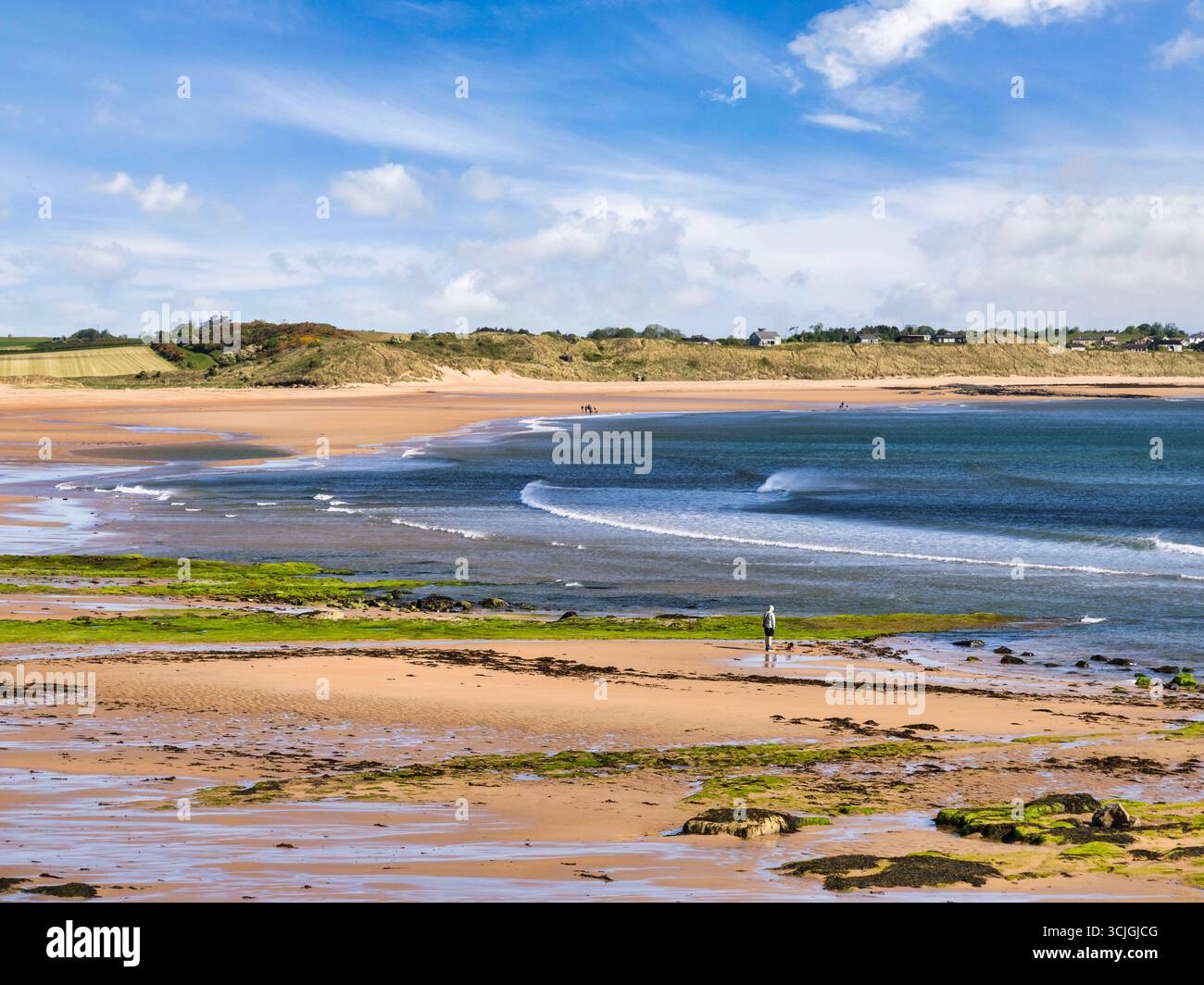 Embleton Bay, Northumberland, UK, one early morning in spring. Blue water, gentle waves, a few people, very peaceful. Stock Photo