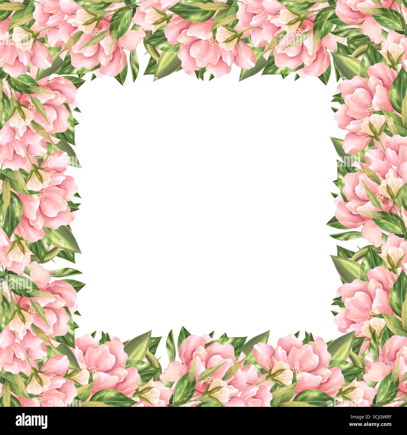 Square frame pink flowers on hi-res stock photography and images - Alamy