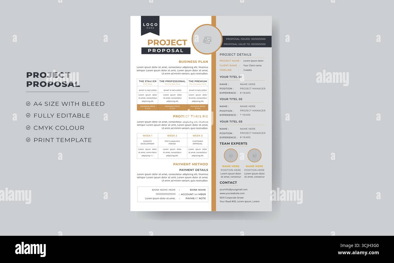 New Business Project Proposal design template Stock Vector
