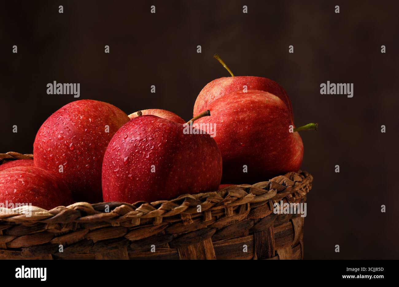 A basket filled with fresh picked Gala Apples. Stock Photo