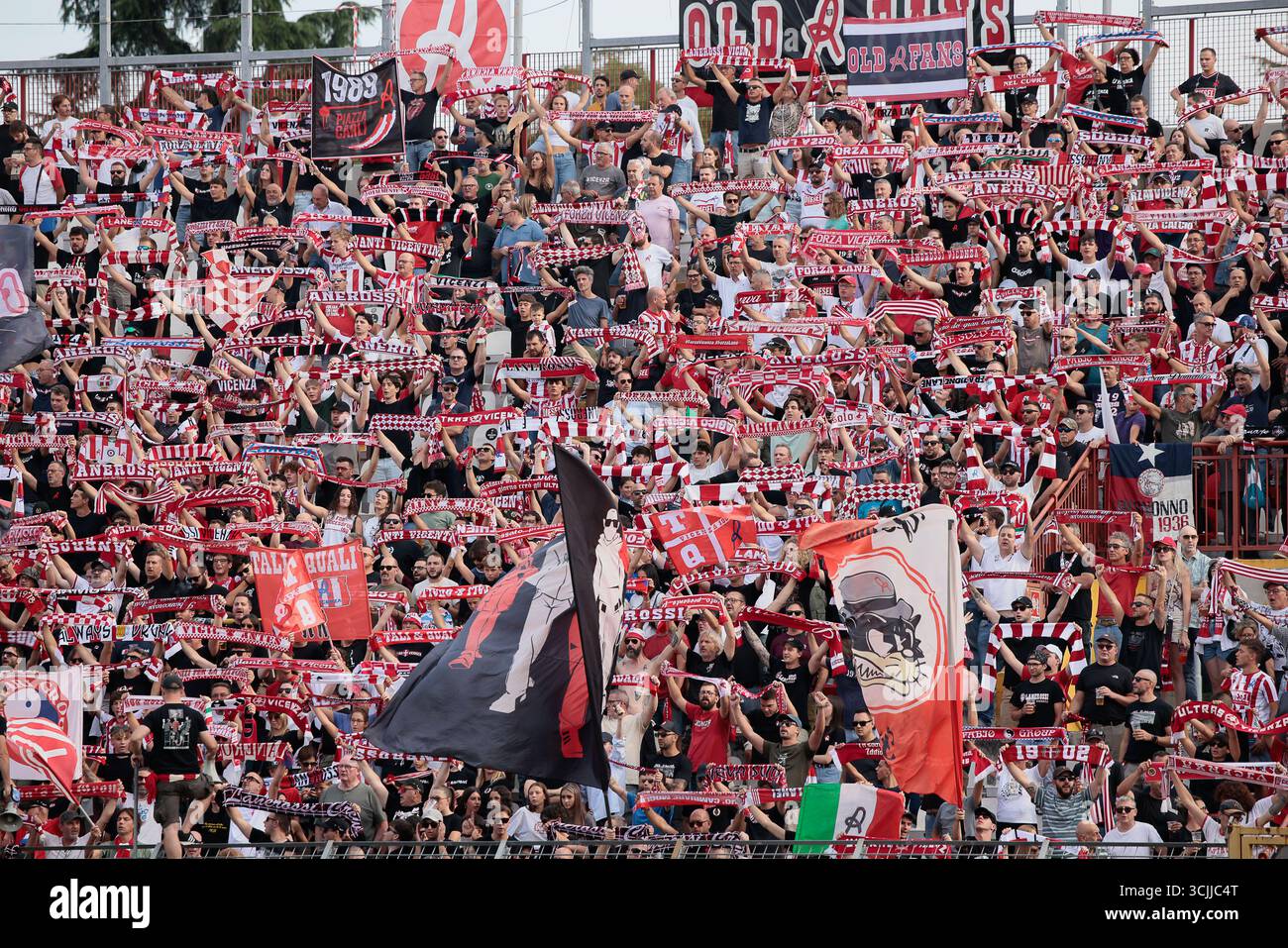 partite di lr vicenza - arzignano valchiampo