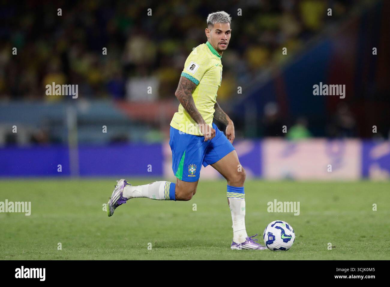 Context of the Brazil National Team