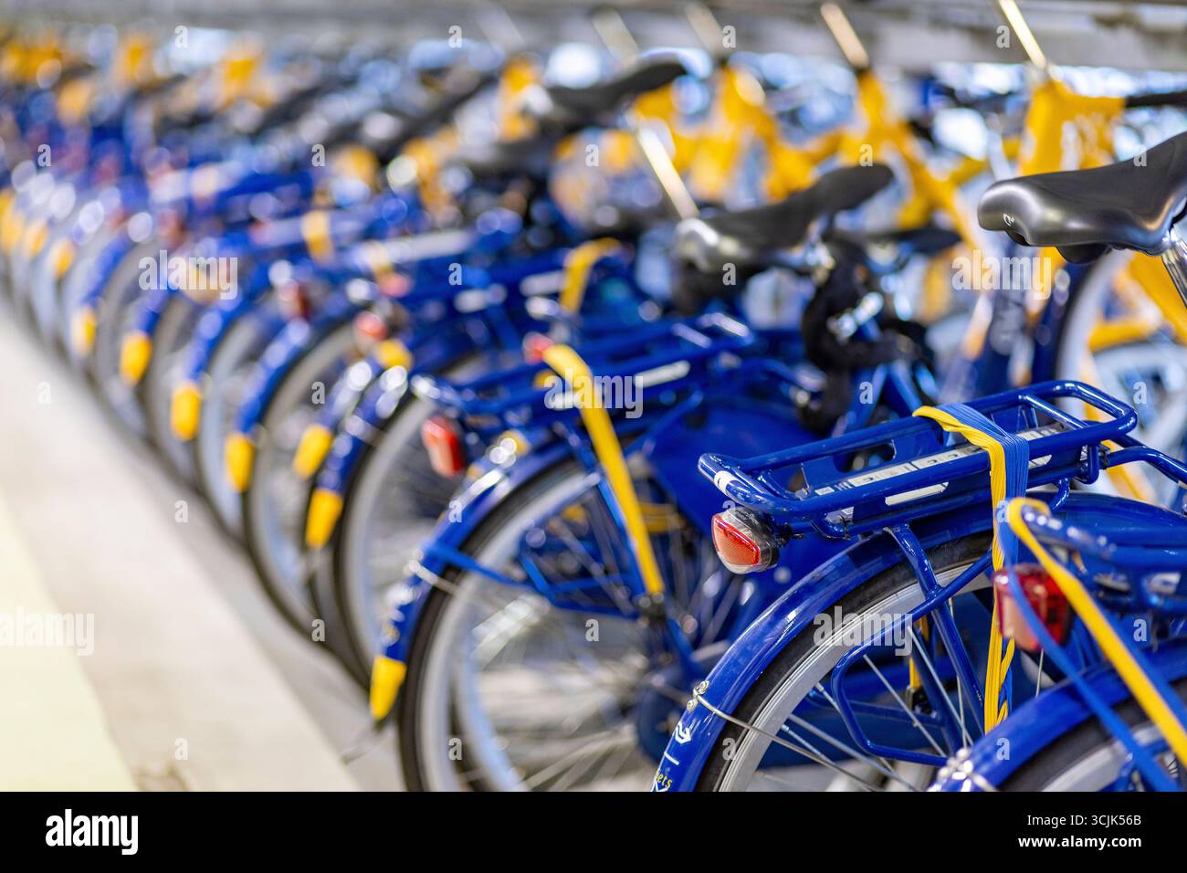 Ns flex hi-res stock photography and images - Alamy