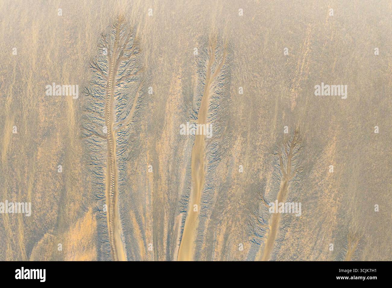 HAINING, CHINA - SEPTEMBER 7, 2025 - The natural landscape of 
