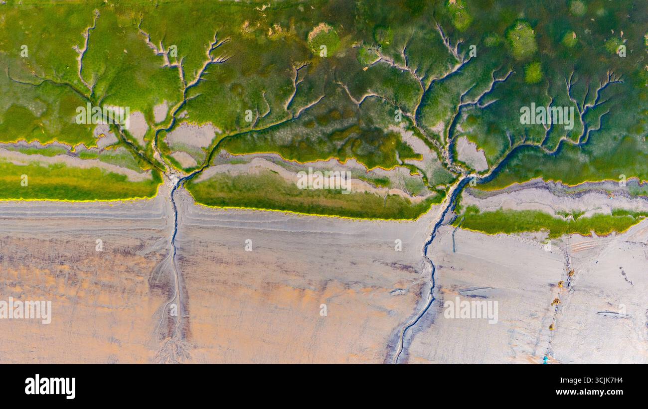 HAINING, CHINA - SEPTEMBER 7, 2025 - The natural landscape of 