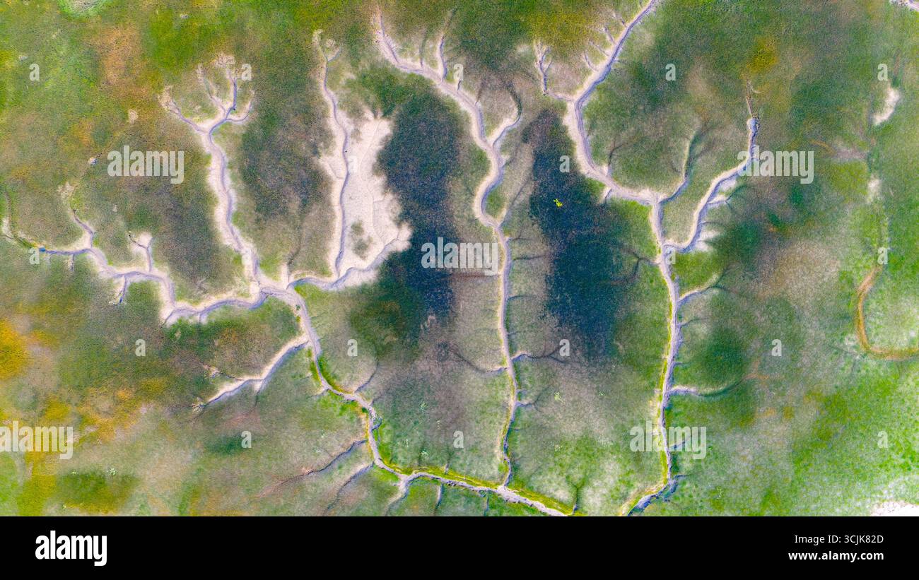 HAINING, CHINA - SEPTEMBER 7, 2025 - The natural landscape of 