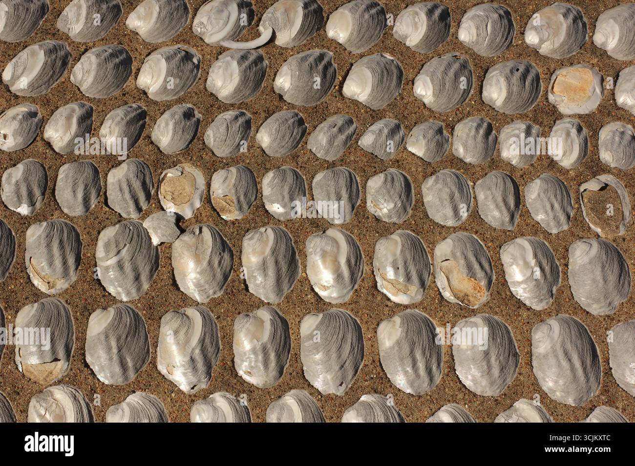 Victorian era cemetery hi-res stock photography and images - Alamy