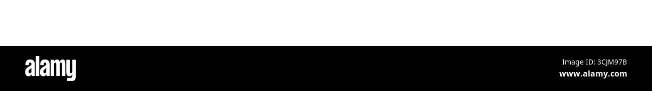 army vector Stock Vector