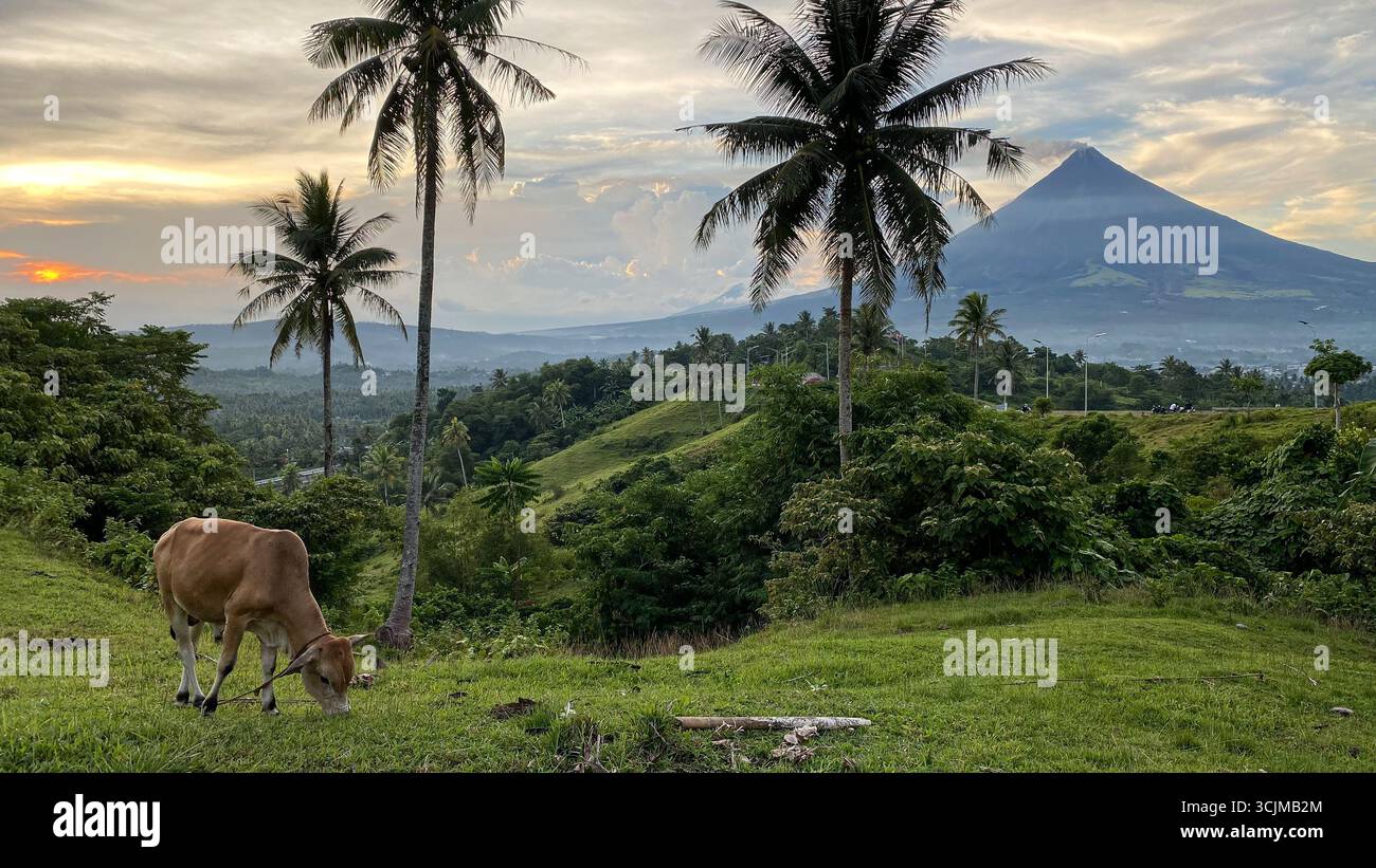 Mayon volcano, Legazpi, Bicol - Smartphone Captured Stock Image