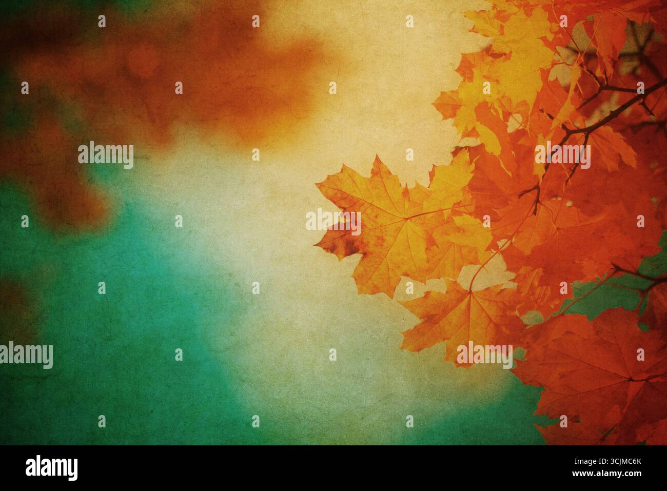 Autumn leaves over vintage background. Perfect grunge fall texture. Stock Photo