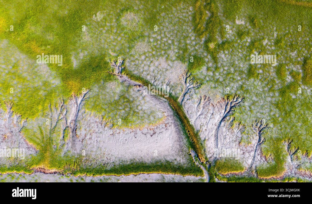 The natural landscape of 