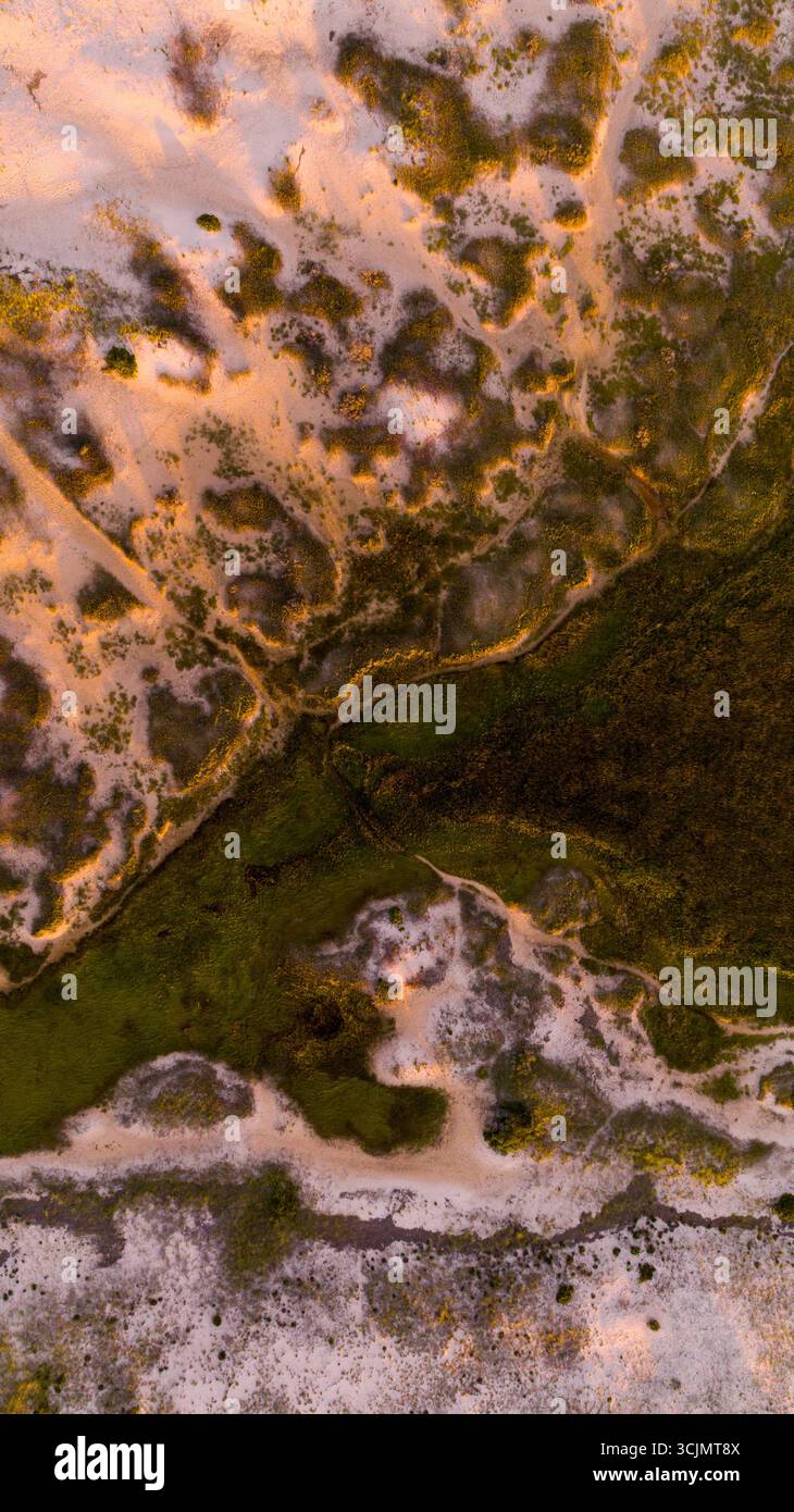 Marshy Inlets Aerial view of the stark contrast between the sandy shores and the ...