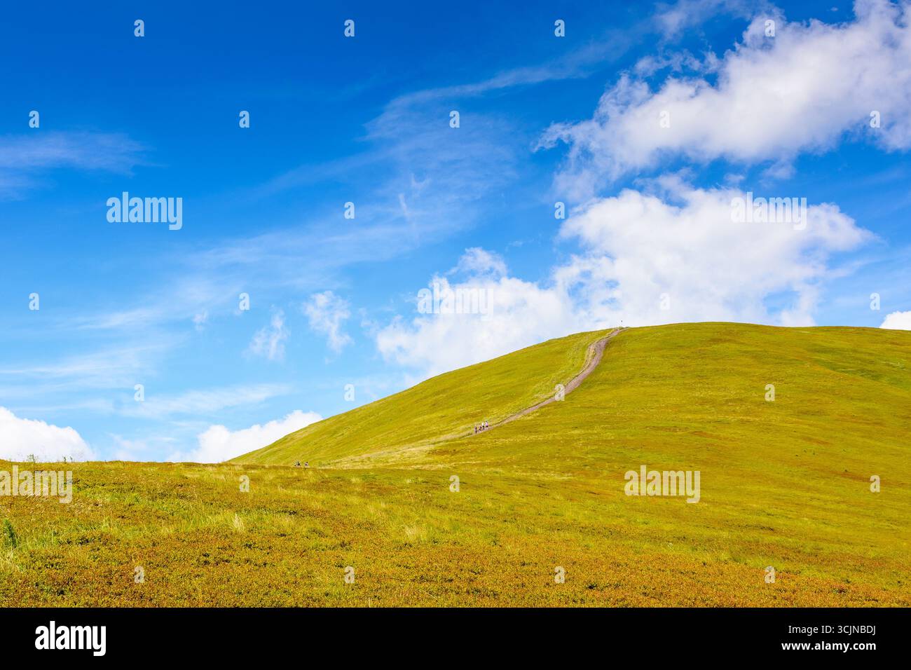 path for mountain tourism in summer. alpine landscape of ukraine. beautiful scenery of borzhava ridge with green hills under blue sky with clouds Stock Photo