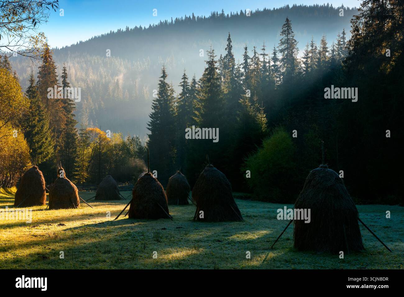 mountainous rural landscape of romania in autumn. scenic view. foggy sunrise. transylvania countryside scenery in fall season. haystacks on field in s Stock Photo