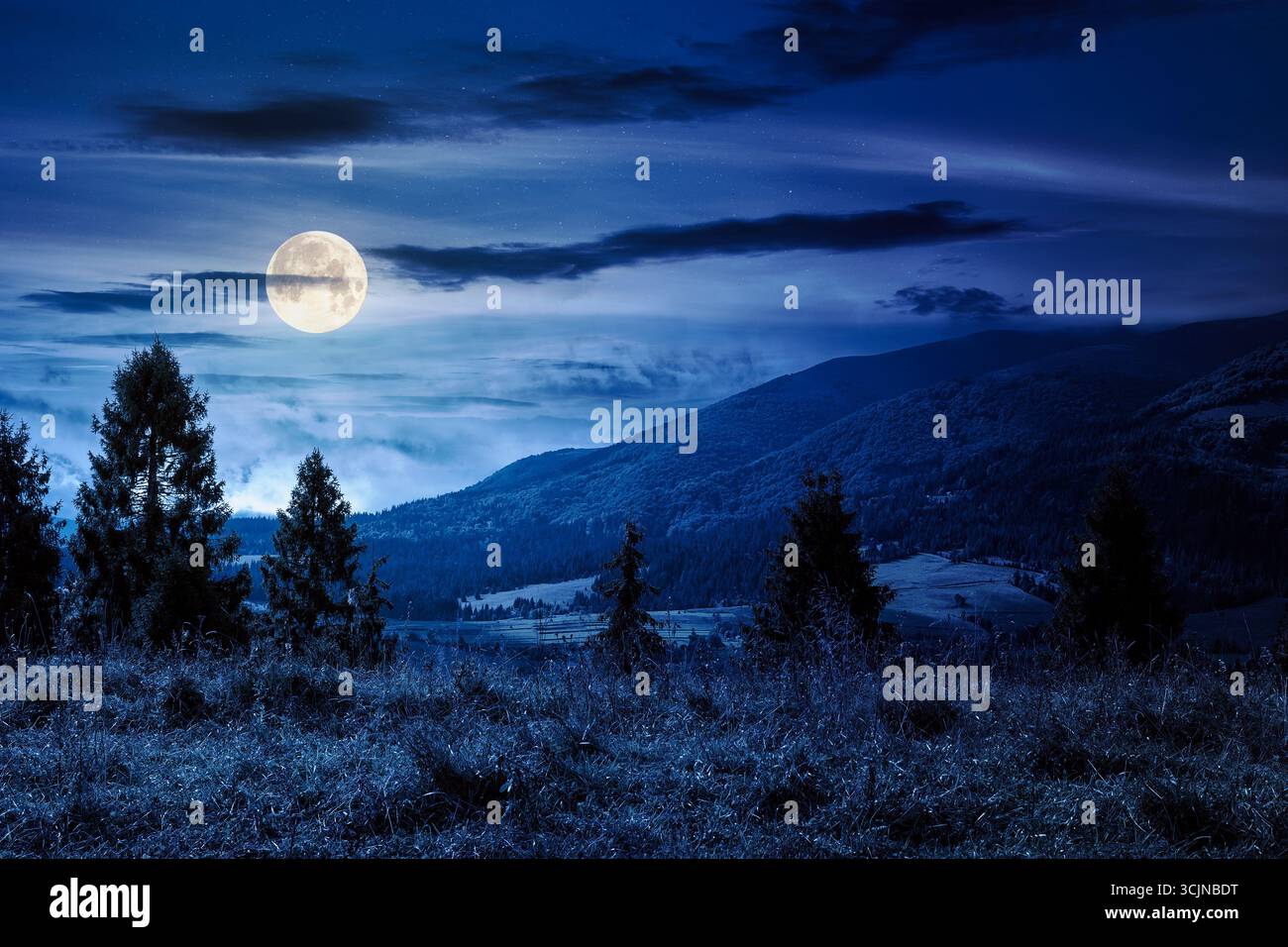 hillside of mountain range with coniferous forest and meadow at night. scenery of carpathian mountain in september in full moon light Stock Photo