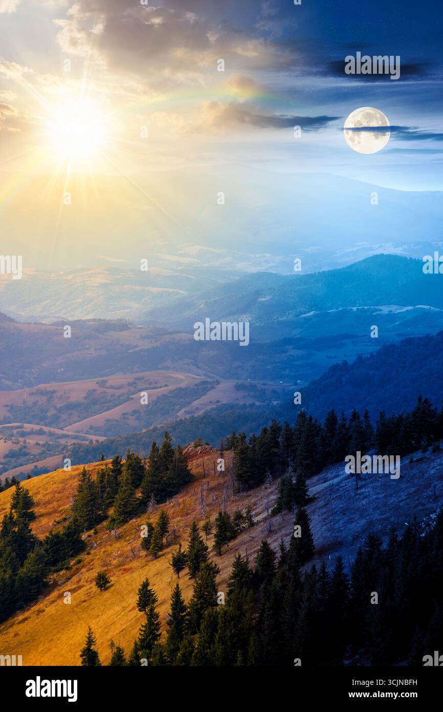 fir trees on a meadow down the hill. day and night time change concept. coniferous forest in mountains with sun and moon at twilight. steep hillside i Stock Photo