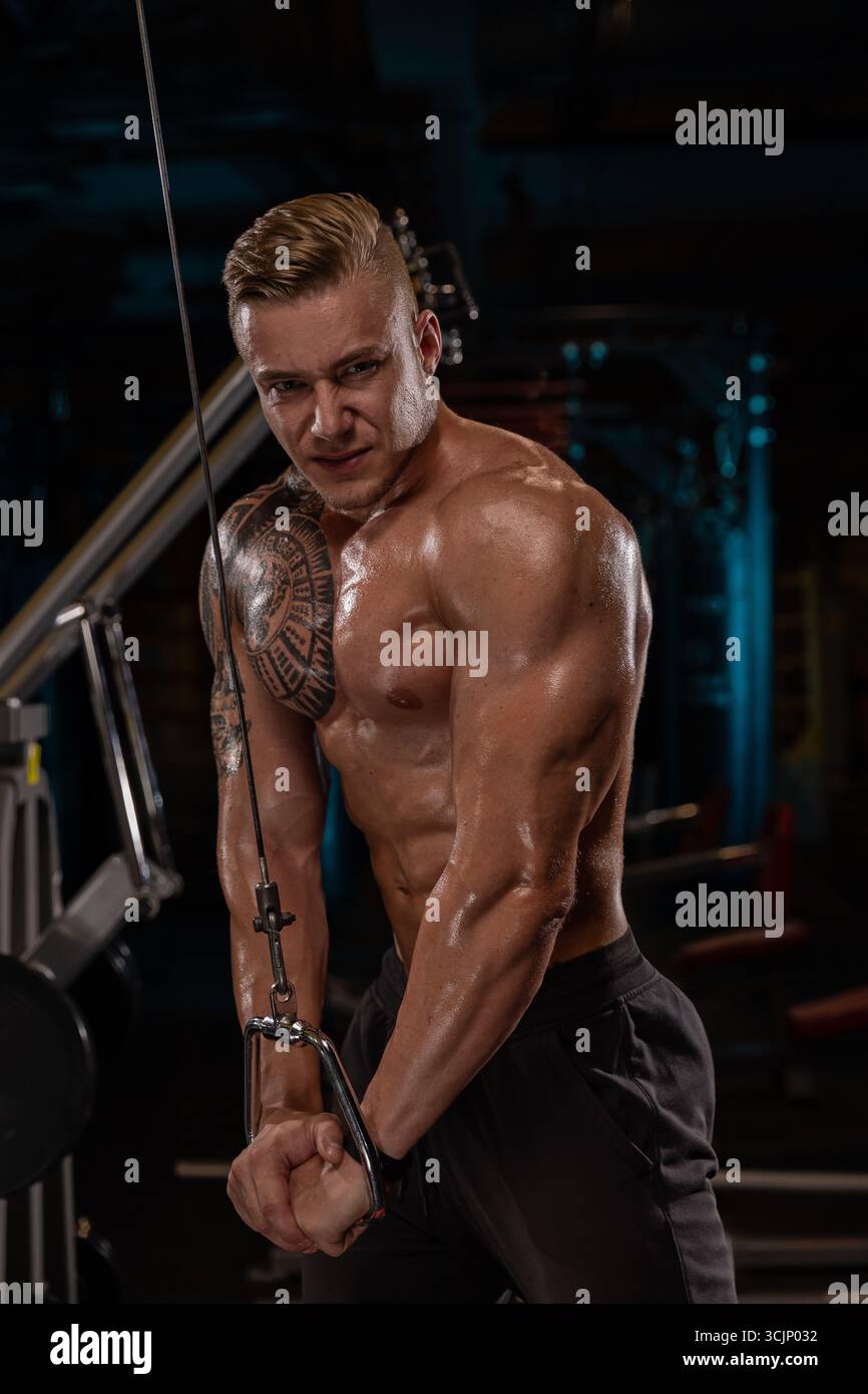 muscular man engages in a cable triceps exercise in a gym setting displaying his strength and determination. The training environment features various equipment and a well lit background. Stock Photo