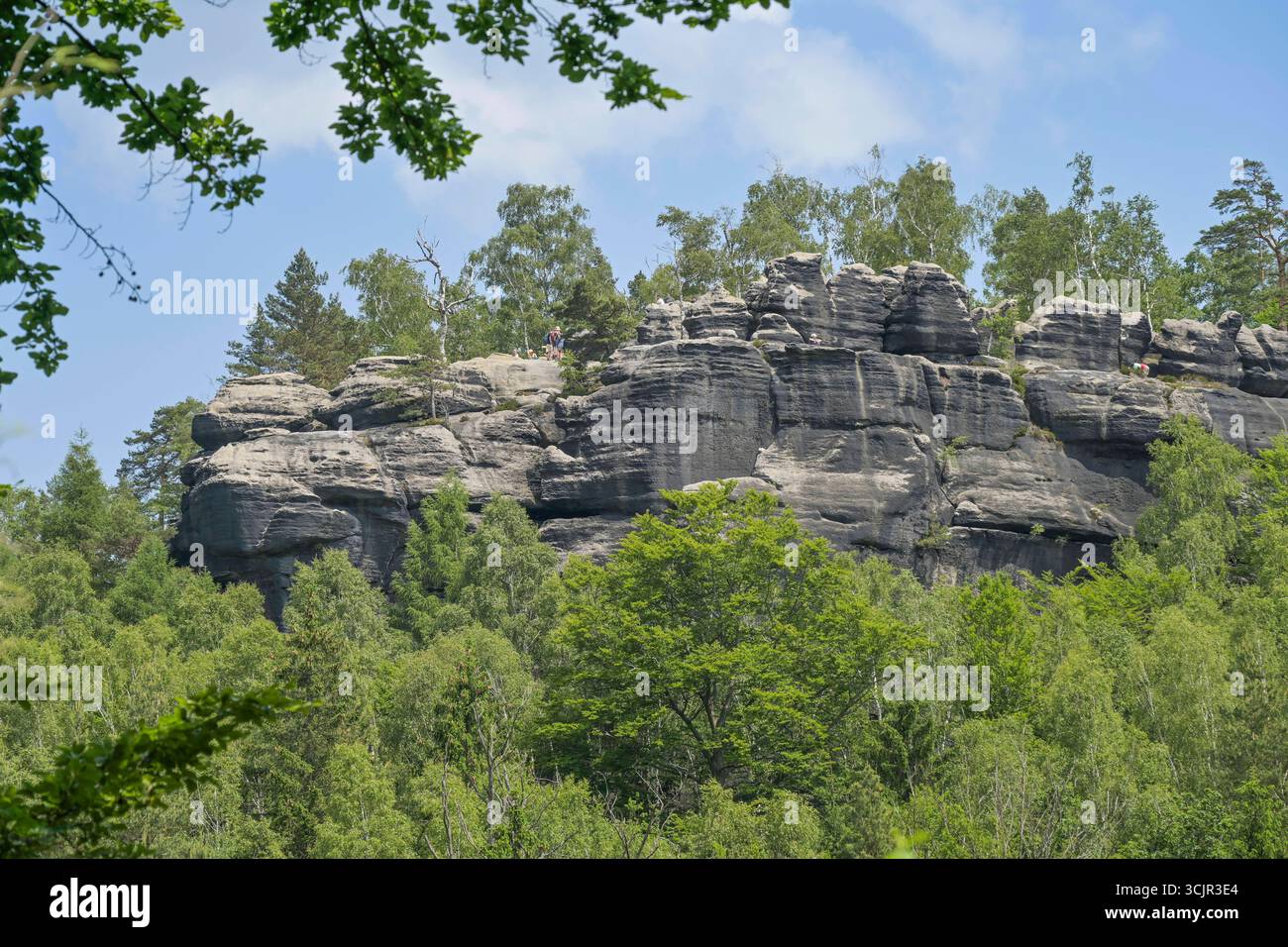 Felsformation Affensteine Elbsandsteingebirge Landkreis S chsische felsformation-affensteine-elbsandsteingebirge-landkreis-s-chsische
