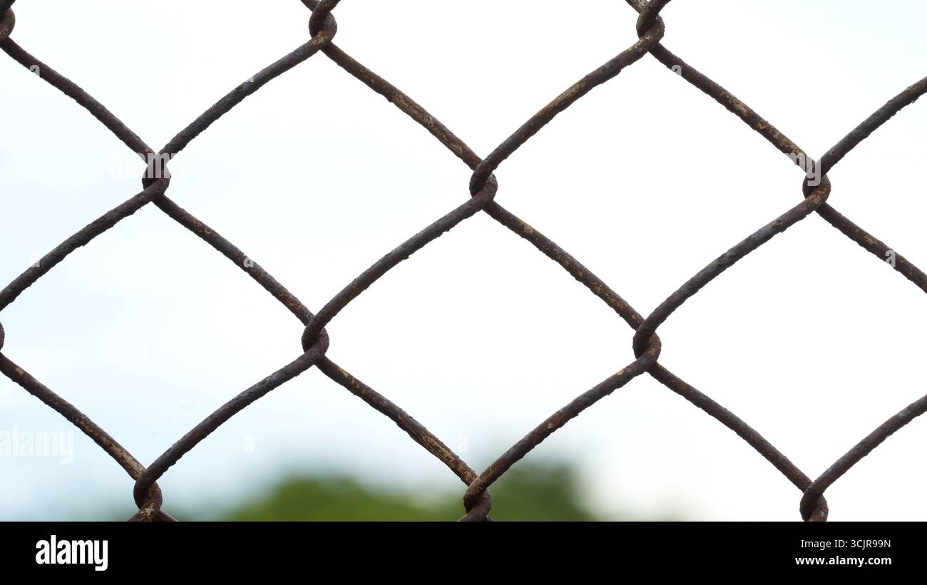 Rusty mesh fencing with blurred tree in the background. Stock Photo