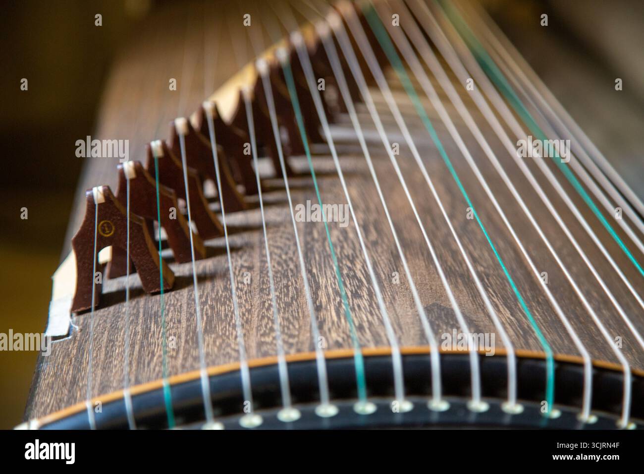 Close-up of a traditional stringed instrument with detailed view of ...