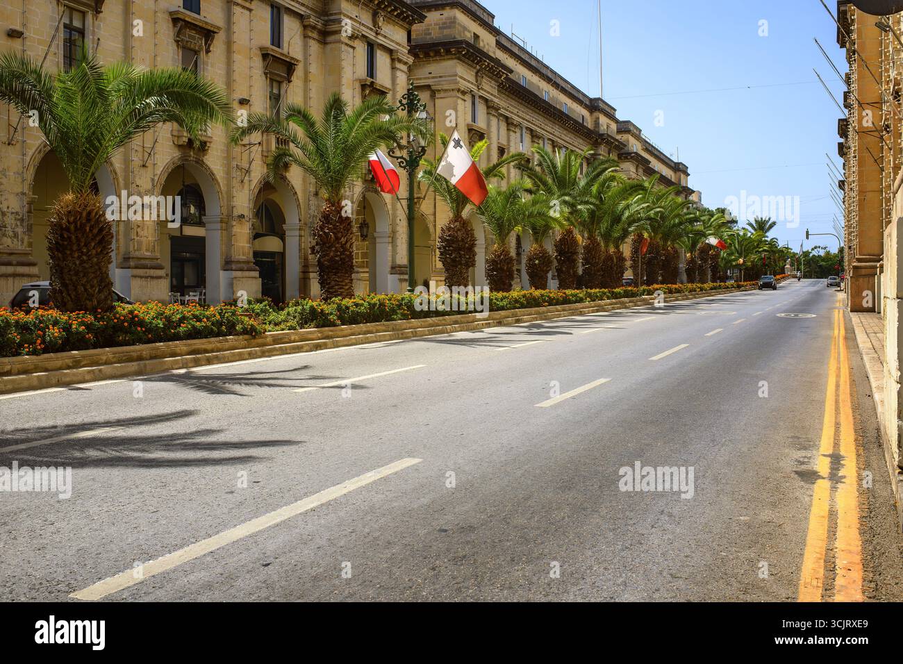 Multilane city roadway with asphalt surface, divided by an avenue of palm trees and flowers along historic buildings on a sunny European street. Stock Photo