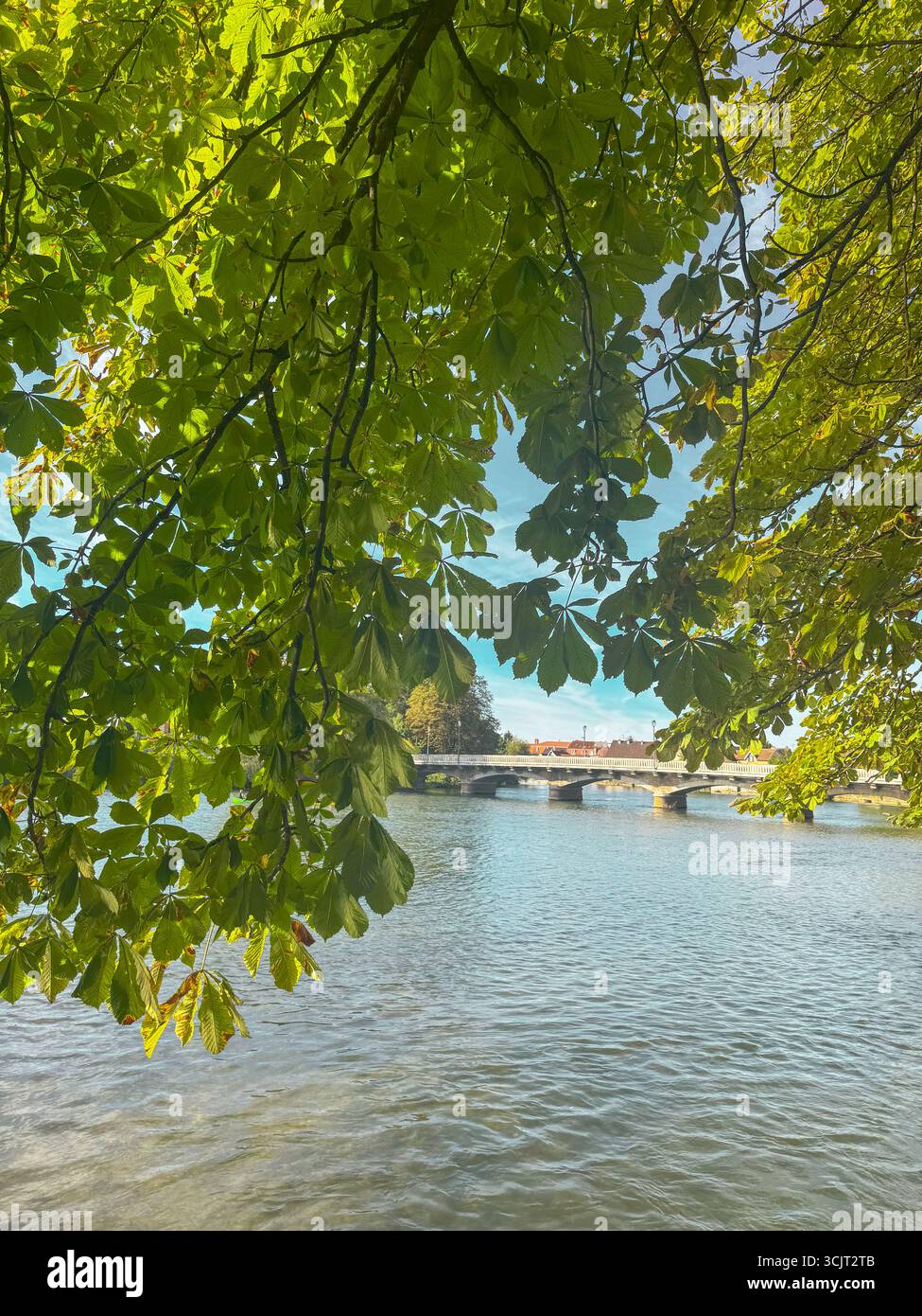 Scenic view of the Doubs River with a stone bridge in Audincourt, France, framed by chestnut leaves on a sunny summer day. - Smartphone Captured Stock Image