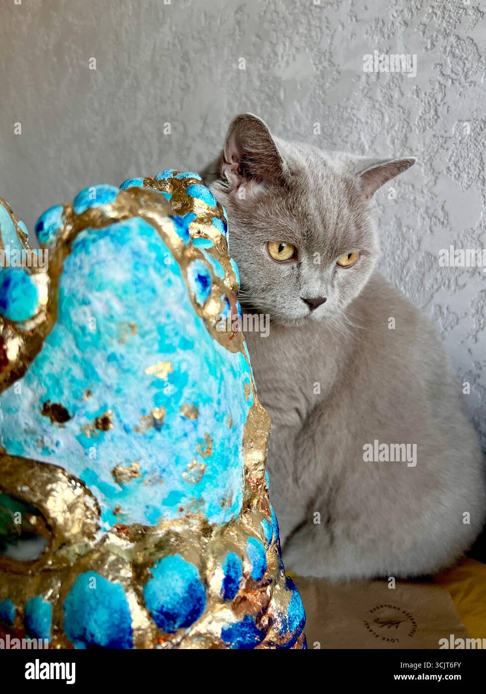 A beautiful gray British cat sits near a blue art vase. - Smartphone Captured Stock Image