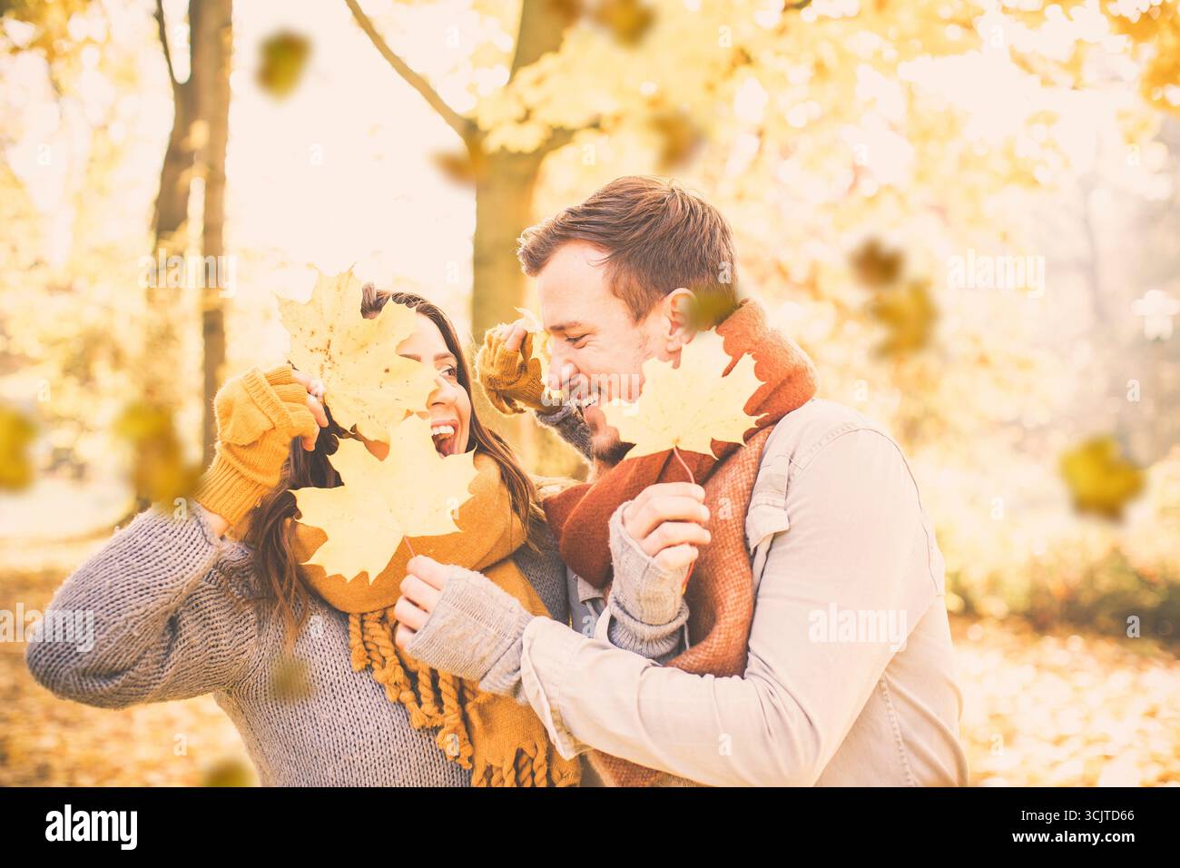Attractive autumn colouring hi-res stock photography and images - Alamy