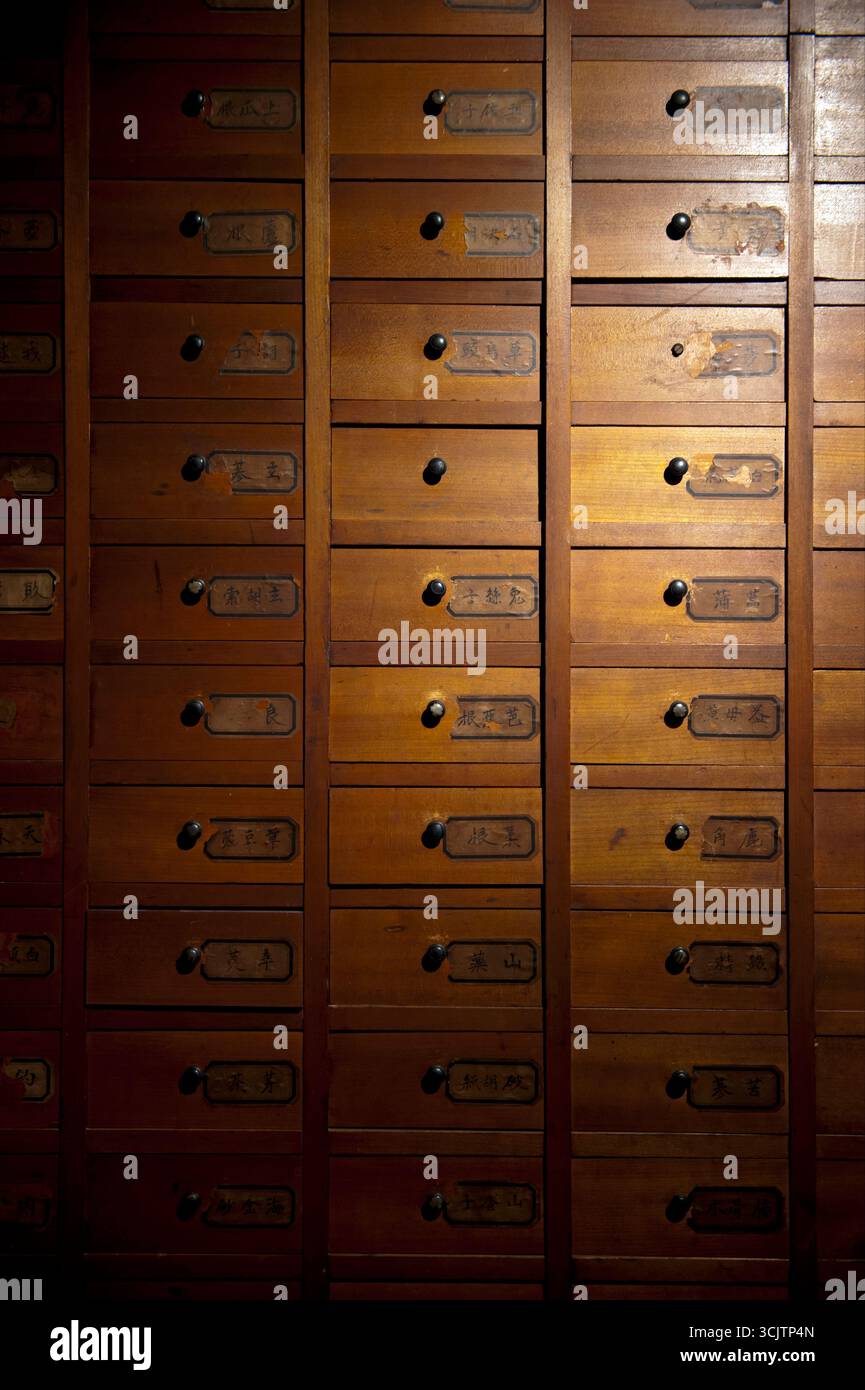 Chinese medicine cabinet at Sekimachinami Shiryokan (�v�ޤ��ʤ��Y���^) local history museum at historic residence in Seki-juku, old Tokaido road, Mie, Japan. Stock Photo