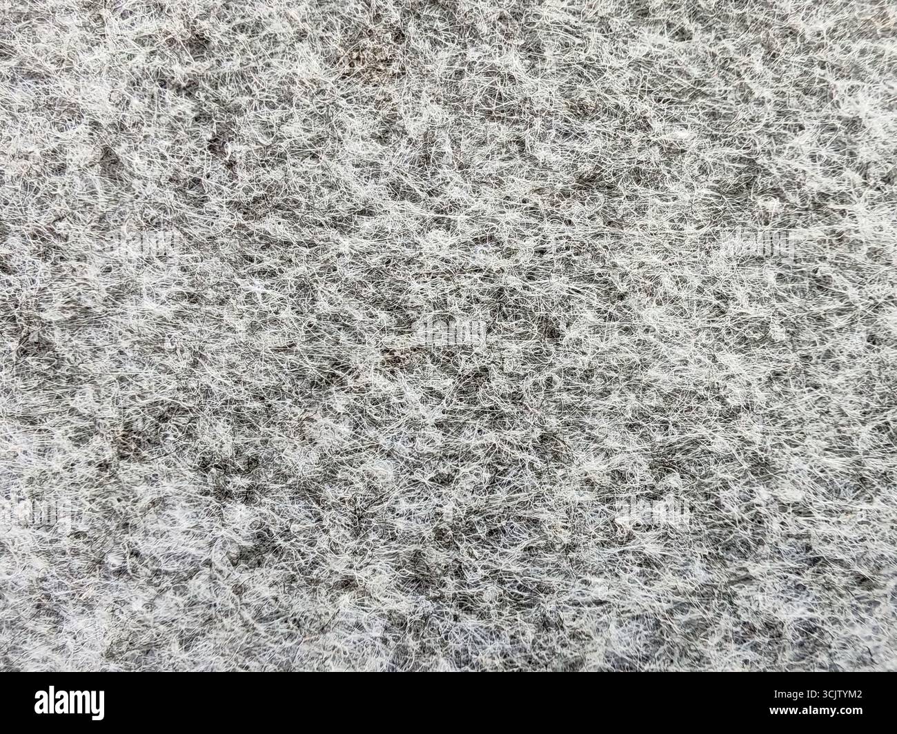 Grey abstract fibrous background, texture of felt fabric. Stock Photo