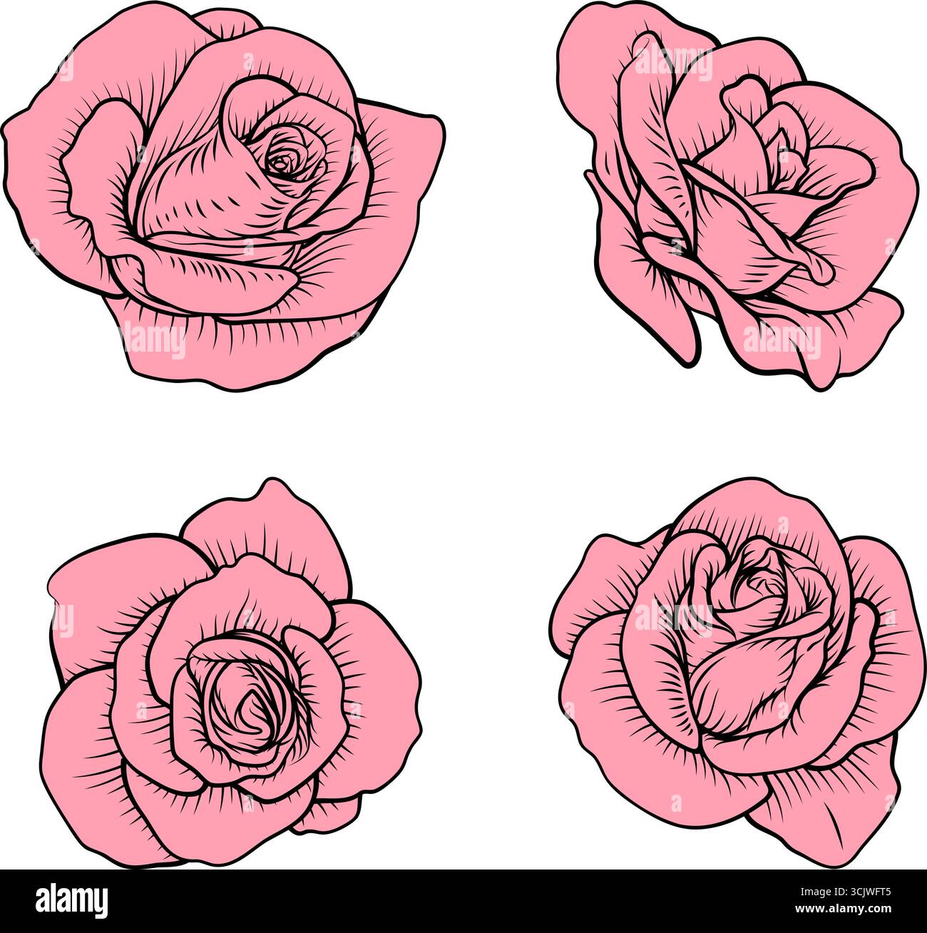 Rose Flower Woodcut Engraved Etching Illustration Stock Vector Image ...