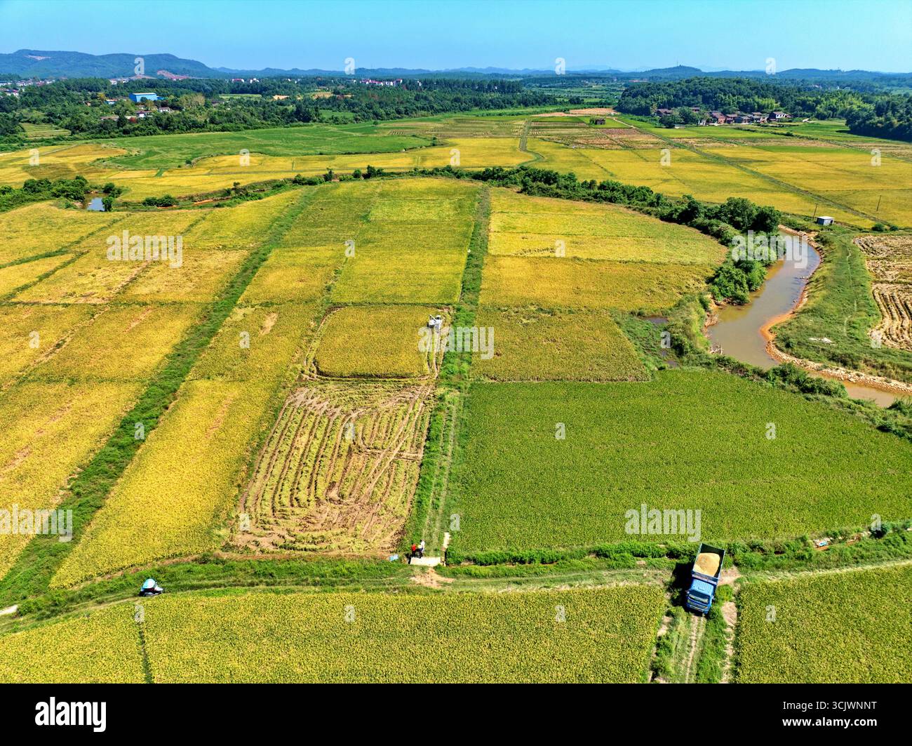 Aerial photo shows farmers harvesting rice in the field in Fuzhou City ...