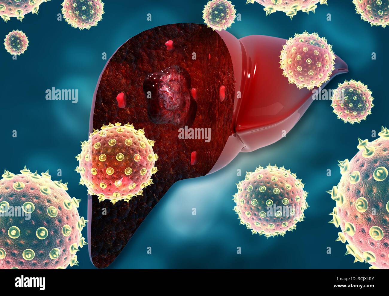 Virus liver cells hi-res stock photography and images - Alamy