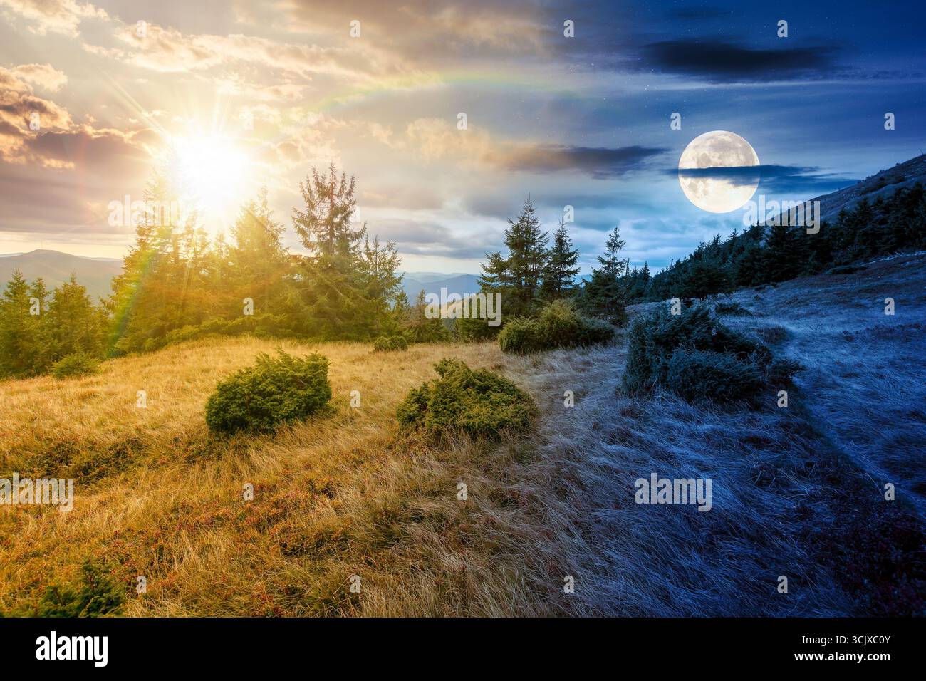 fir trees on a meadow down the hill to coniferous forest in mountains. day and night time change concept. highland landscape under cloudy sky in early Stock Photo
